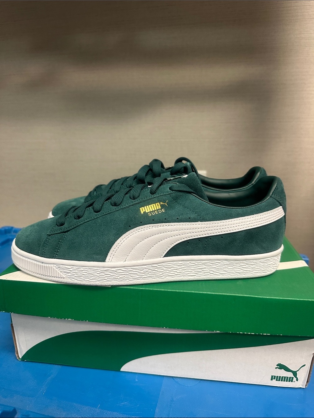Puma Men's Classic Suede Shoe in Green and White